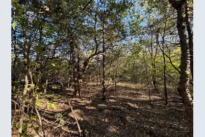 0 Fm 2554, Ivanhoe, TX 75447 - Photo 24