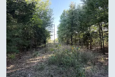 0 Fm 2554, Ivanhoe, TX 75447 - Photo 34