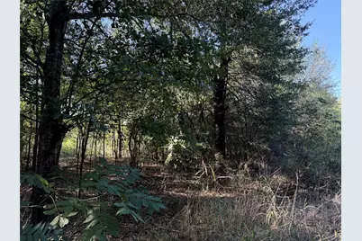 0 Fm 2554, Ivanhoe, TX 75447 - Photo 36
