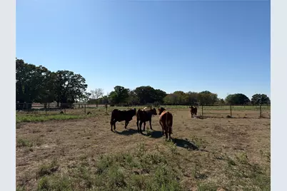 9636 Fm 3094, Scurry, TX 75158 - Photo 14