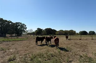 9636 FM 3094, Scurry, TX 75158 - Photo 14