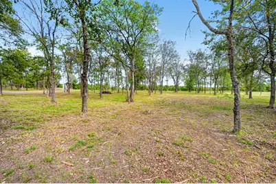 191 Lago Vista Drive, East Tawakoni, TX 75472 - Photo 4