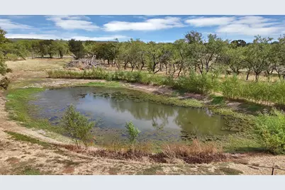 462 Halsell Road, Mineral Wells, TX 76067 - Photo 38