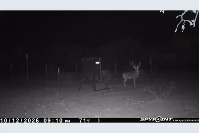0000 Kramer Road, Graham, TX 76450 - Photo 40