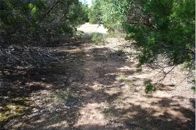 25063 Woodmont Drive, Whitney, TX 76692 - Photo 10
