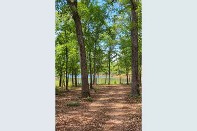 10/10A Fishermans Bay Private Rd, Quitman, TX 75783 - Photo 1