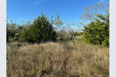 Lot 10 Cedar Prairie, Mildred, TX 75109 - Photo 6