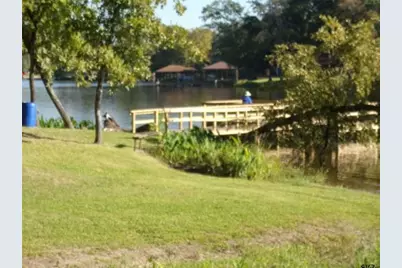 180 E Willow Lane, Murchison, TX 75778 - Photo 28