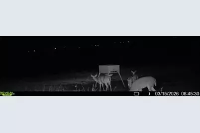 10350 W Clear Creek Road, Sanger, TX 76266 - Photo 24