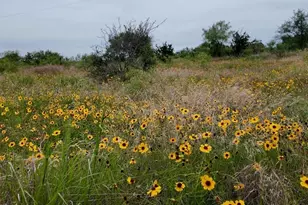 2315 Cr 472, Rochelle, TX 76872 - Photo 30
