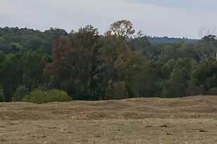 Tbd Fm 315, Palestine, TX 75803 - Photo 1