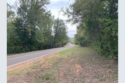 Tbd Fm 315, Palestine, TX 75803 - Photo 16