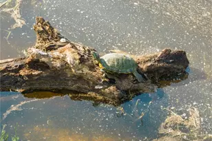 16401 Cedar Rock Pkwy, Crawford, TX 76638 - Photo 56