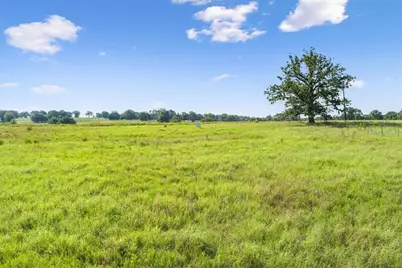 Tbd Lcr 707, Kosse, TX 76653 - Photo 16