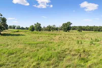 Tbd Lcr 707, Kosse, TX 76653 - Photo 12