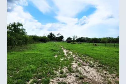 46 Acres Fm 339 S, Groesbeck, TX 76642 - Photo 2