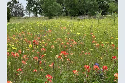 161 Suzanne Drive, Moody, TX 76657 - Photo 6