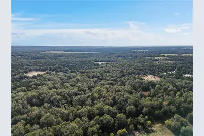 Tbd W Fm 489, Teague, TX 75860 - Photo 6