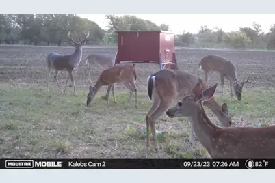 Tbd Tract 3 Talbert Ranch Road, China Spring, TX 76633 - Photo 30