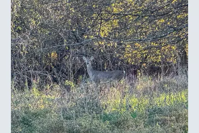 Tbd Tract 4 Talbert Ranch Road, China Spring, TX 76633 - Photo 32