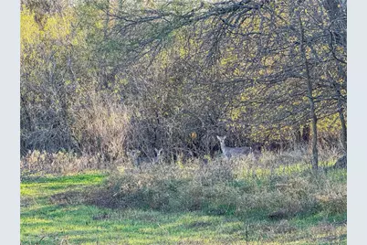 Tbd Tract 6 Talbert Ranch Road, China Spring, TX 76633 - Photo 16