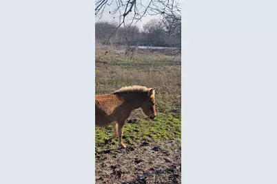 1851 Fm 339, Mount Calm, TX 76673 - Photo 14