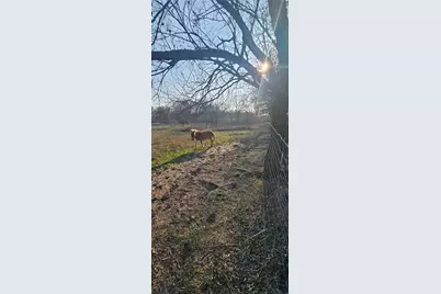 1851 Fm 339, Mount Calm, TX 76673 - Photo 12