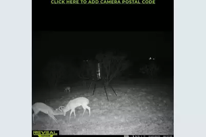 1227 Alexander Road, Moody, TX 76557 - Photo 64