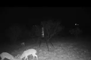 1227 Alexander Rd, Moody, TX 76557 - Photo 64