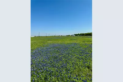 5.01 Acres Fm 308 Road, Penelope, TX 76676 - Photo 10
