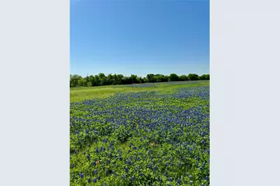 5.01 Acres Fm 308 Road, Penelope, TX 76676 - Photo 8