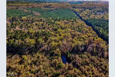 0 Pine Orchard, Greenwood, LA 71129 - Photo 4