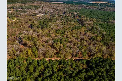 0 Pine Orchard, Greenwood, LA 71129 - Photo 6