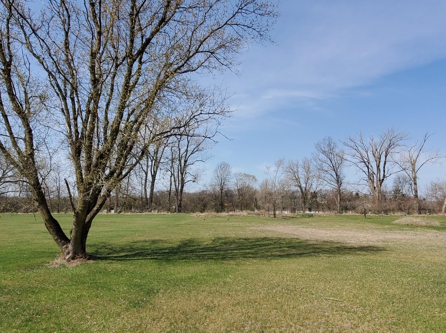 1106 Elm St, Demotte, IN 46310-9203