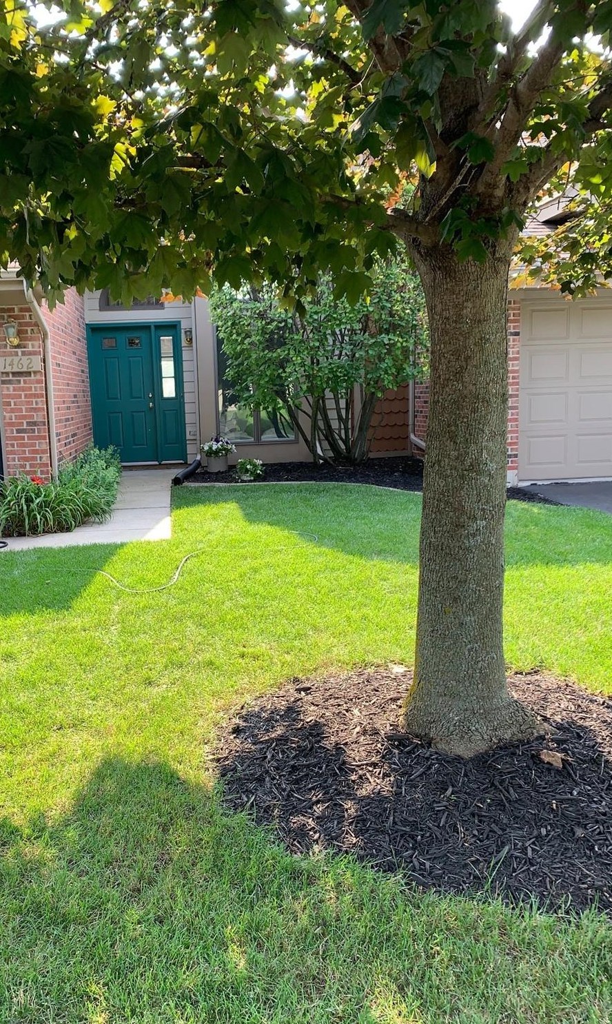 1462 Grand Isle Ct, Hobart, IN 46342