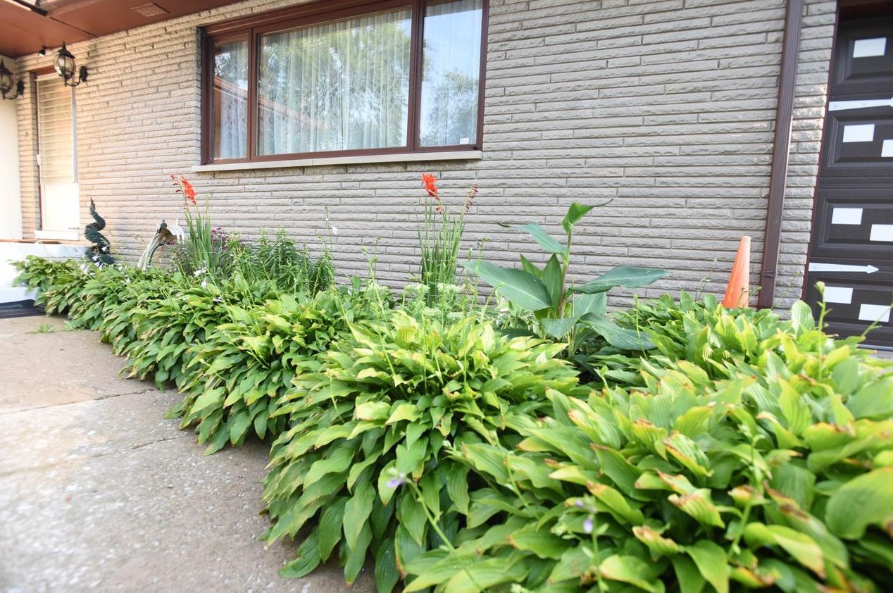 2061 W 50th Ave, Gary, IN 46408