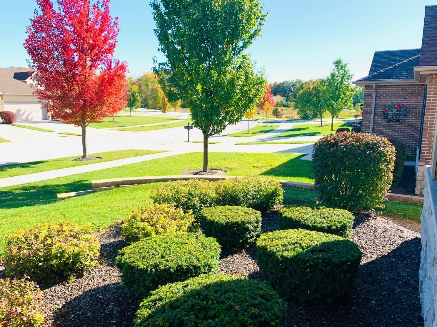 9937 Settlers Ct, Dyer, IN 46373