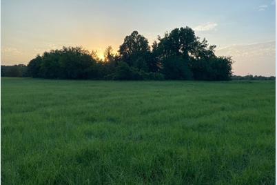 Tbd Lot 1 County Road 1813, Yantis, TX 75497 - Photo 1