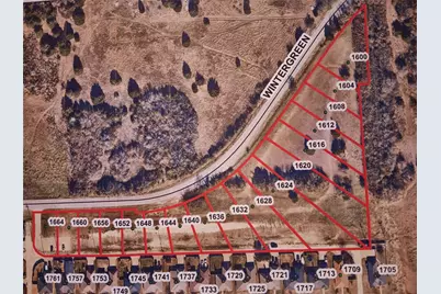 1652 W Wintergreen Road, Lancaster, TX 75134 - Photo 1