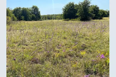 15 Acres Cr-1650, Chico, TX 76431 - Photo 1