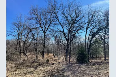 Lt 33 Zebra Crossing, LaRue, TX 75770 - Photo 1