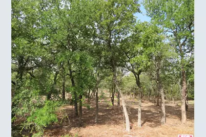 000 Horizon Ridge, Bowie, TX 76230 - Photo 1