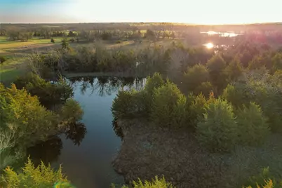 Tbd Fm-2456, Ladonia, TX 75449 - Photo 1