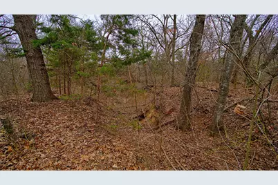 1501 Forrester Road, Forestburg, TX 76239 - Photo 1