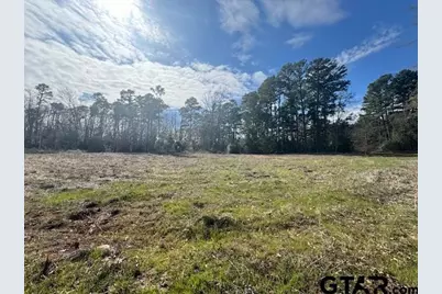 Tbd County Road 224 Lot 5, Arp, TX 75750 - Photo 1