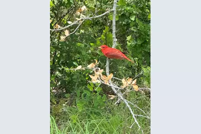 5120 Glen Rose Highway, Granbury, TX 76048 - Photo 4