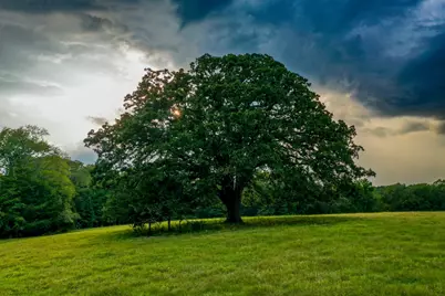 0000 Tom Eubanks Rd, Gladewater, TX 75647 - Photo 1