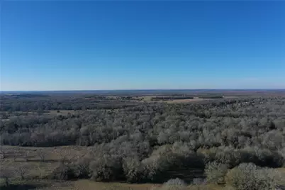 Tract 2 Fm 321, Tennessee Colony, TX 75861 - Photo 1