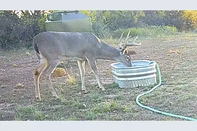 12014 C S Fm 600, Abilene, TX 79601 - Photo 1