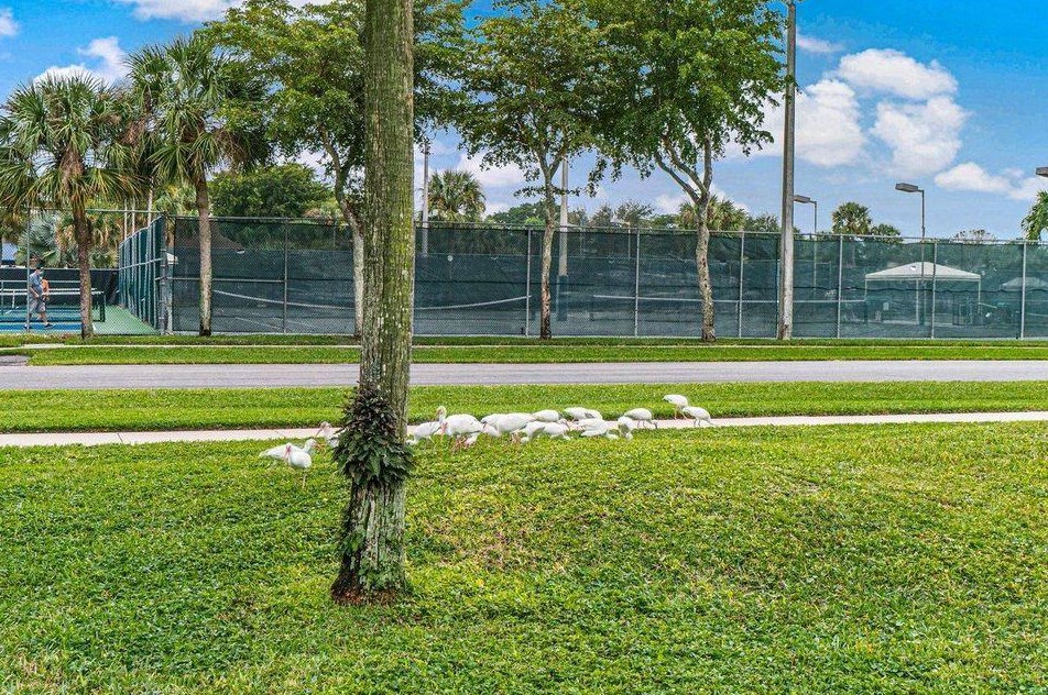 10174 Mangrove Dr, Boynton Beach FL 33437-1325 exterior